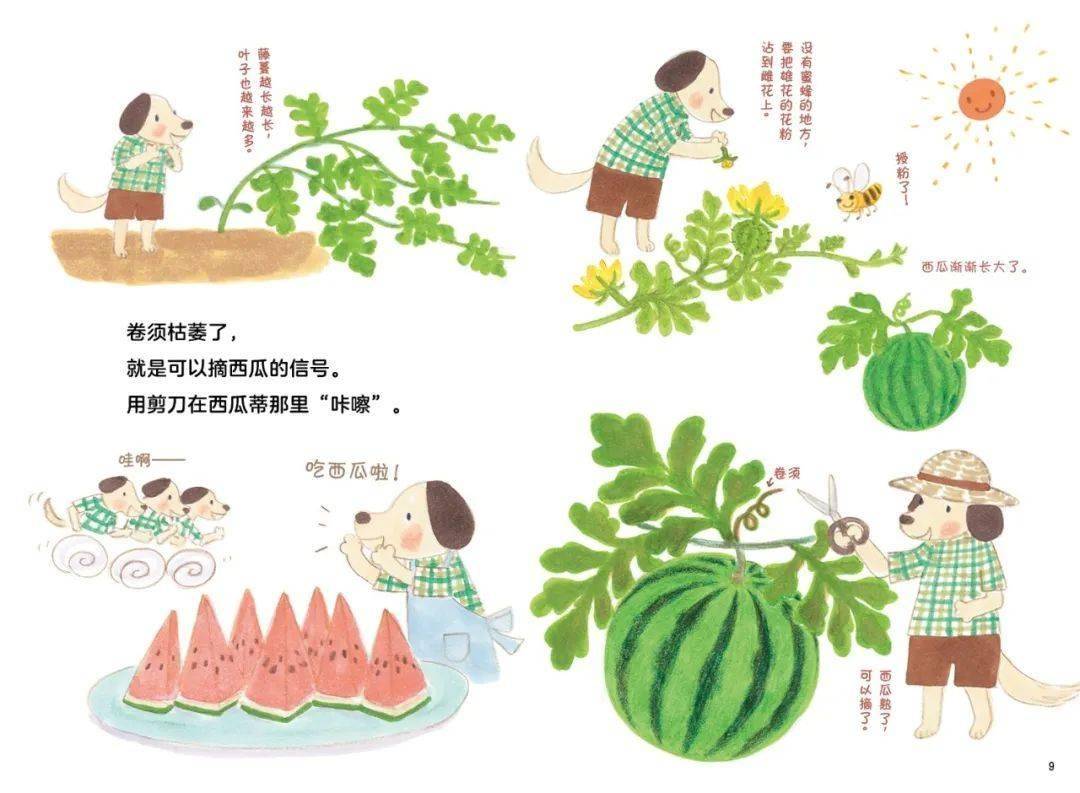 水果奶奶与澳门免费资料的温馨故事