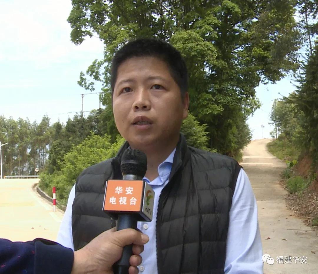 水果奶奶的免费综合资料，健康生活的甜蜜源泉