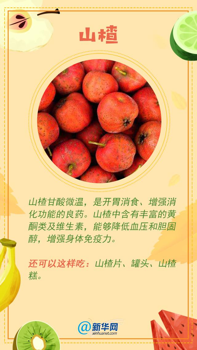水果专题 第408页