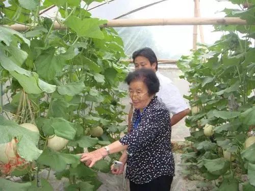 水果奶奶的23578与最新动态，数字背后的甜蜜故事