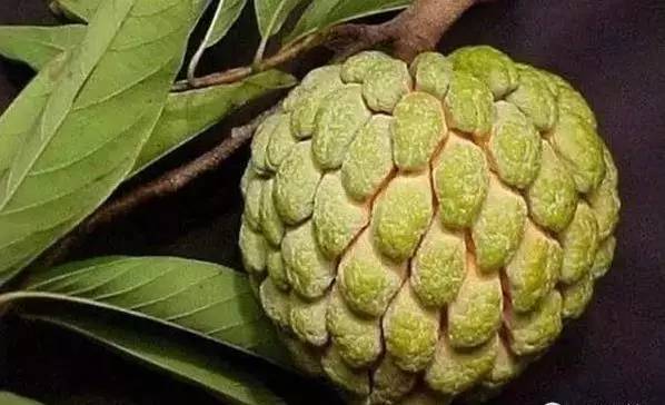 奶奶专栏 第404页