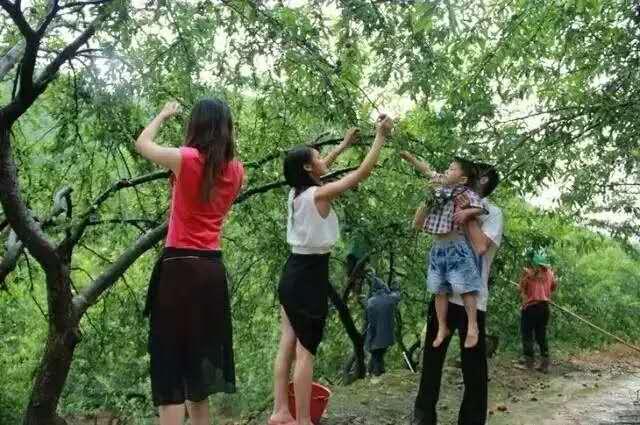 水果奶奶的温馨画卷，简单笔画下的甜蜜回忆