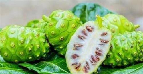 奶奶专栏 第399页