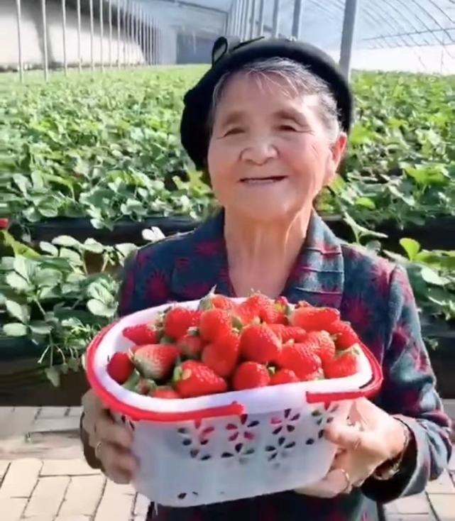 水果奶奶527