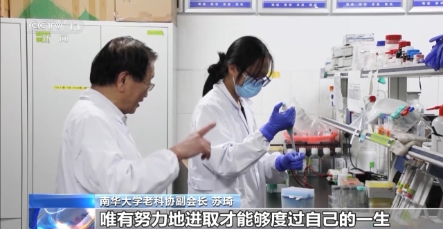水果奶奶传奇