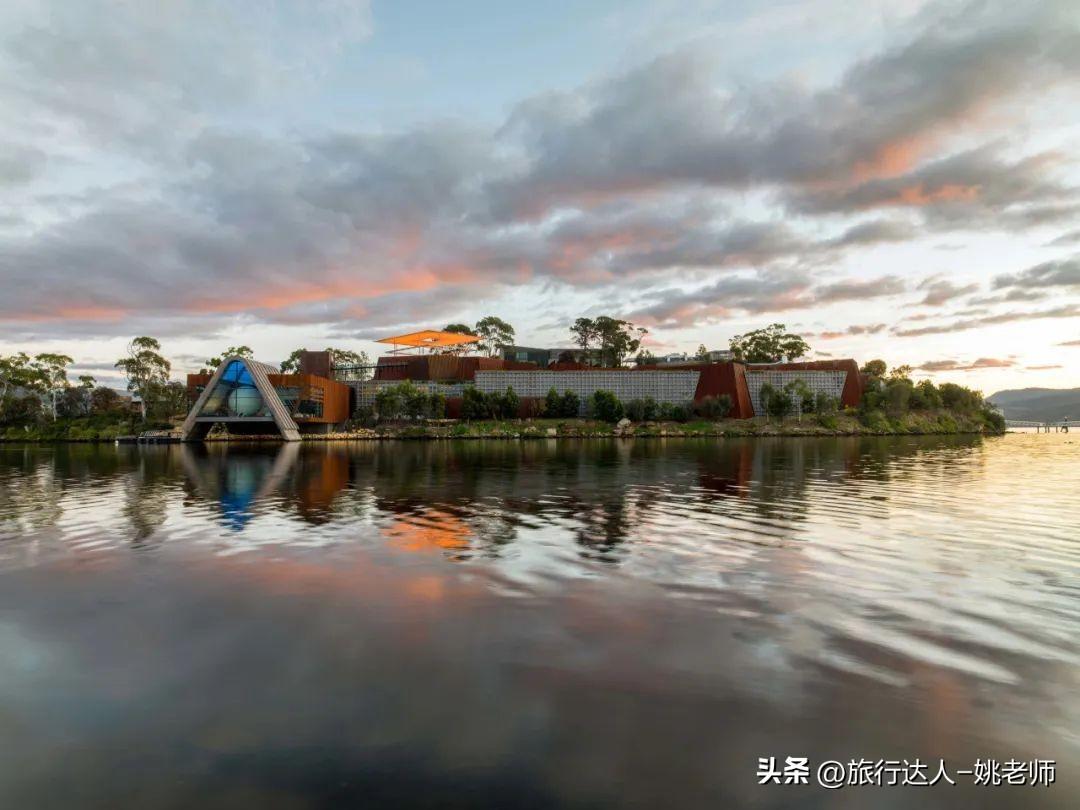 澳门赛马，现场直播视频的魅力与激情