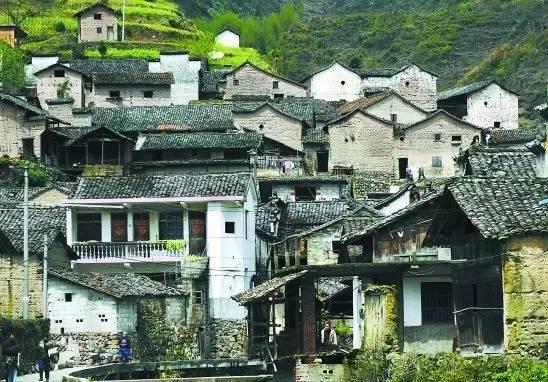 浙江体育彩票61开奖结果查询，便捷、透明与公益的完美结合