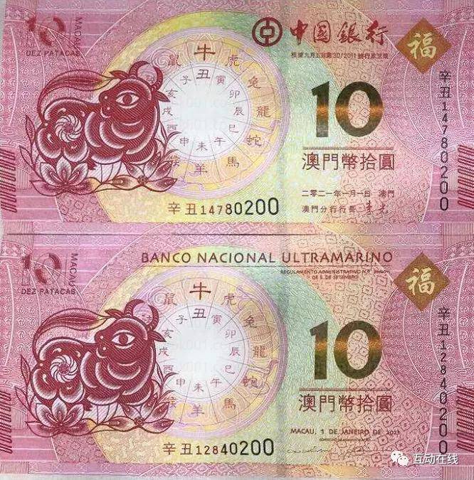 2048年澳门今晚生肖预测，理性与娱乐的边界2024澳门今天晚上开什么生肖啊生肖号码图