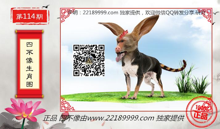 正版四不像特肖图2019年,133期