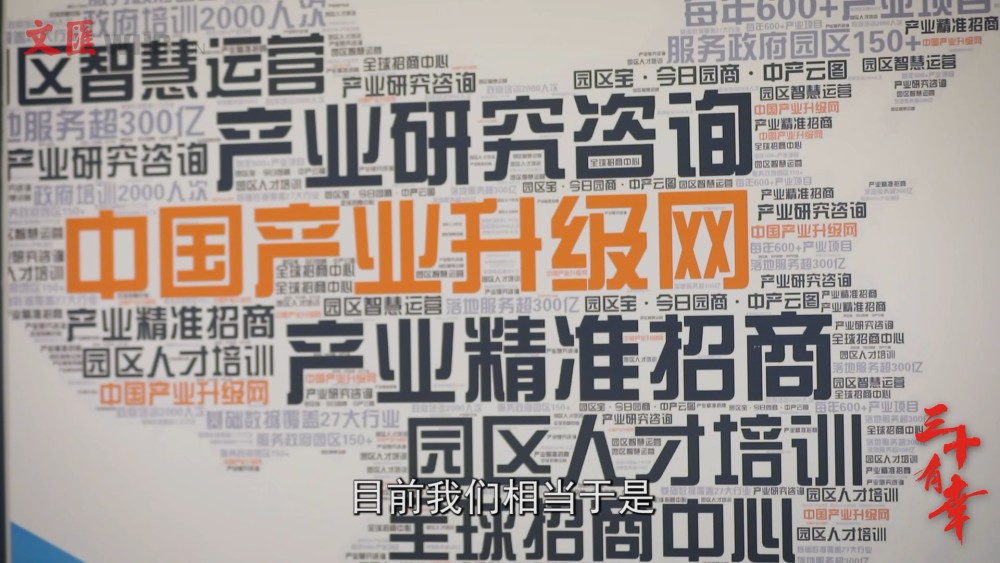 246天天好彩，90后创业者的数字梦想与现实交织