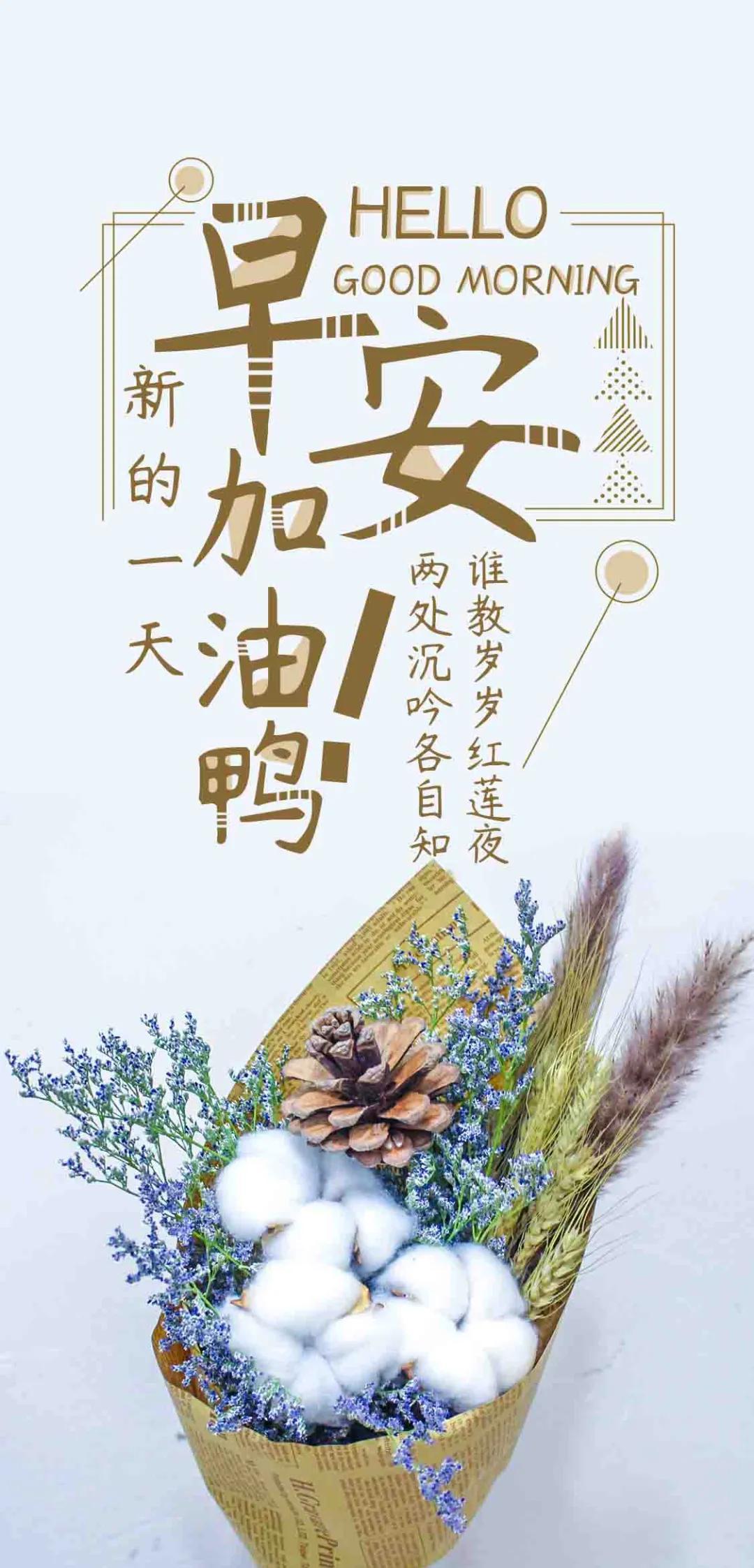 2 开奖号码