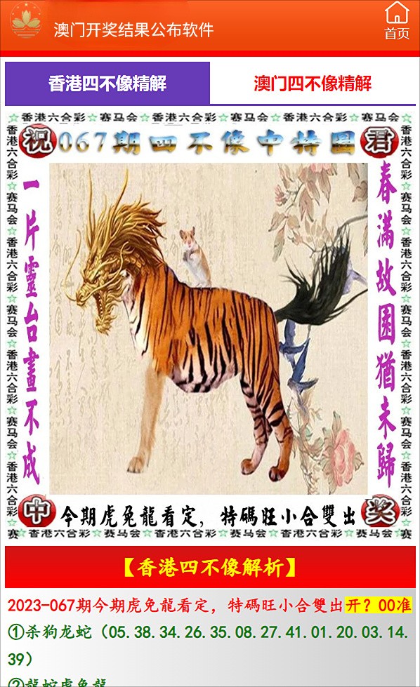 澳门特马开奖号码，揭秘与解析澳门今晚开特马+开奖结果一一